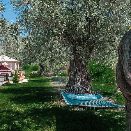 Fokas Luxury Villa *