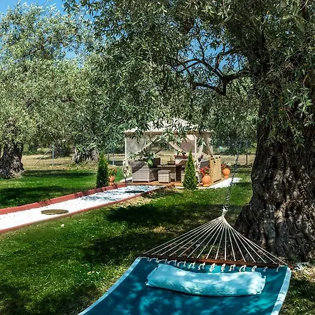 Fokas Luxury * Prínos