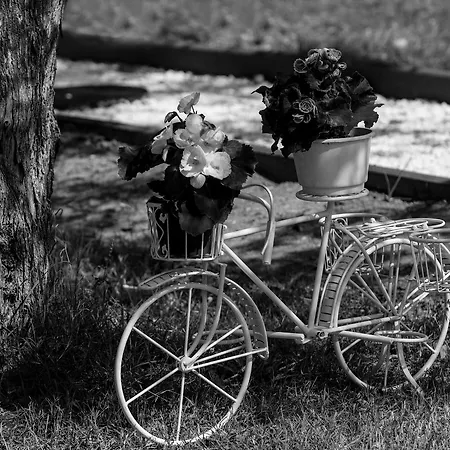 Fokas Luxury Willa Prínos