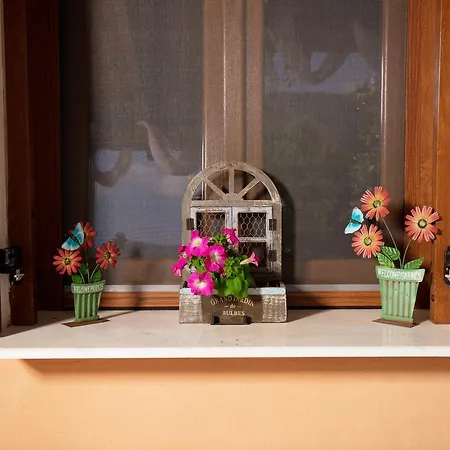 Fokas Luxury * Prínos