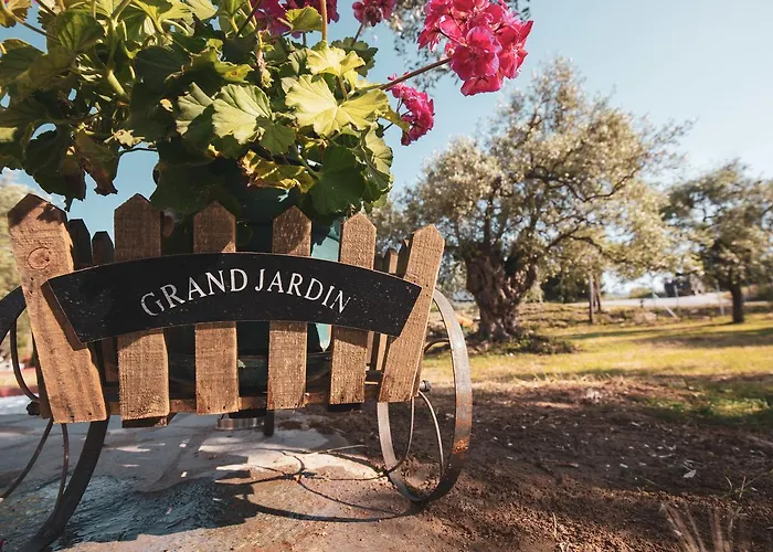 Villa Fokas Luxury Prinos (Thasos)