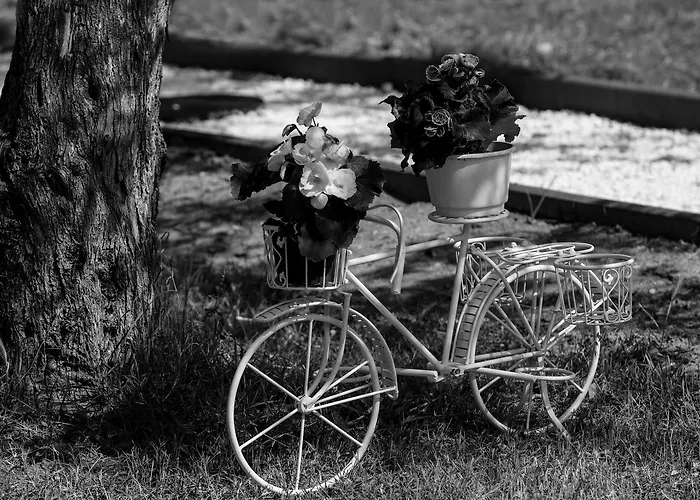 Fokas Luxury Villa Prinos (Thasos)